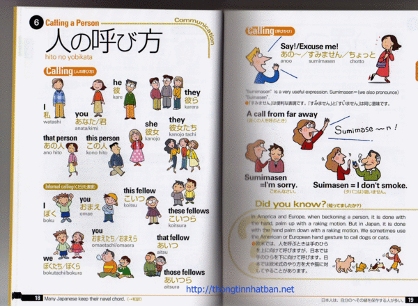 Luyện thi năng lực Nhật Ngữ